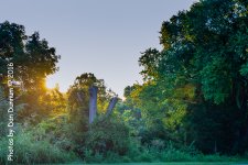 Morning walk-2097.jpg