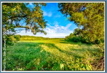 Sunrise at my  Back-2235-Edit.jpg