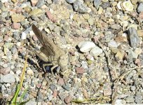 DSCN0842.jpg