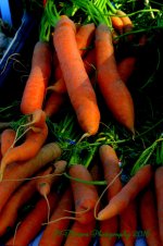 Farmers Market Carrots 8-10-2016.jpg