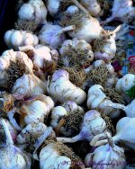 Farmers Market Garlic 8-10-2016.jpg