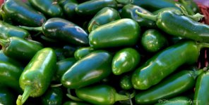 Farmers Market Green Peppers 8-10-2016.jpg