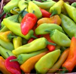 Farmers Market Mixed Peppers 8-10-2016.jpg