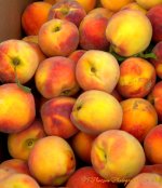 Farmers Market Peaches 8-10-2016.jpg