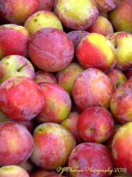 Farmers Market Plums 8-10-2016.jpg