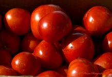 Farmers Market Tomatoes 8-10-2016.jpg