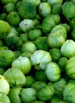 Farmers Market Tomitillos 8-10-2016.jpg