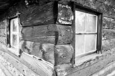 CabinArtsie-102.jpg