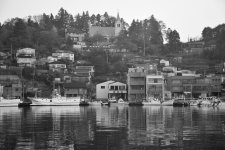 DSC_0167a.jpg