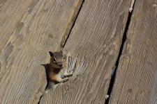 DSC_1740.jpg