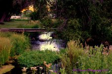 Bridge over the Creek 8-11-2016.jpg