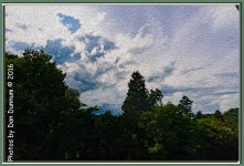 untitled-2352-Edit.jpg