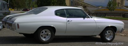 White Chevelle SS 8-15-2016.jpg
