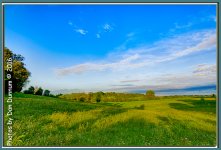 20160815 Morning-2500-Edit.jpg