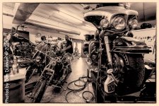 20160815 Morning-2511-Edit.jpg