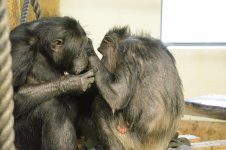 Hamilton Zoo.27.jpg
