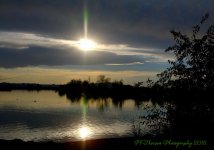Sunstar Reflected 8-17-2016.jpg