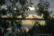 Two Ducks 8-17-2016.jpg