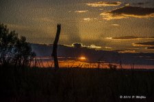 D71_0478-Edit.jpg