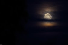 MoonRise001.jpg
