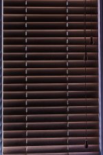 Venetian Blinds 100_9028.jpg