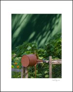 jardin.jpg