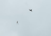 DSC_0880.jpg