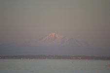 DSC_0059b.jpg