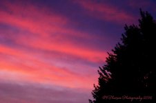 Sunset #1 8-22-2016.jpg