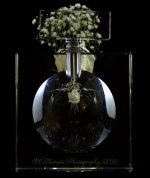 White Rose #3 8-22-2016.jpg