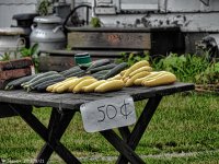 DSCN0945.jpg
