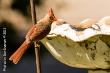 Pourch Sitting-3299-Edit.jpg
