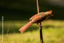 Pourch Sitting-3314-Edit.jpg
