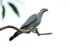 DSC_0112.jpg