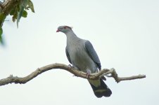 DSC_0119.jpg