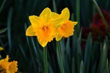 DSC_3969.jpg