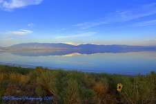 Wasatch Mountains from the Great Salt Lake 8-26-2016.jpg