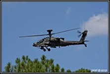 helo_1.jpg