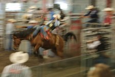 okotoks rodeo -0002.jpg