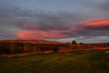 _DSC4974.jpg