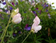 20160828_142800.JPG