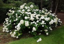 20160828_143056.JPG