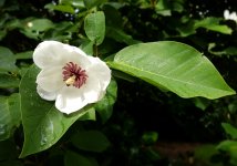 20160828_143948.JPG