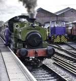 DSC_4403-Edit.jpg