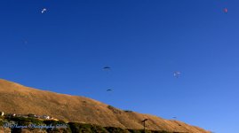 Hang Gliders #1 8-28-2016.jpg