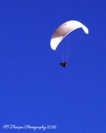 Hang Gliders #2 8-28-2016.jpg