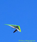 Hang Gliders #4 8-28-2016.jpg