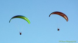 Hang Gliders #5 8-28-2016.jpg