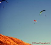Hang Gliders #8 8-28-2016.jpg