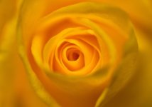 720_1416.jpg